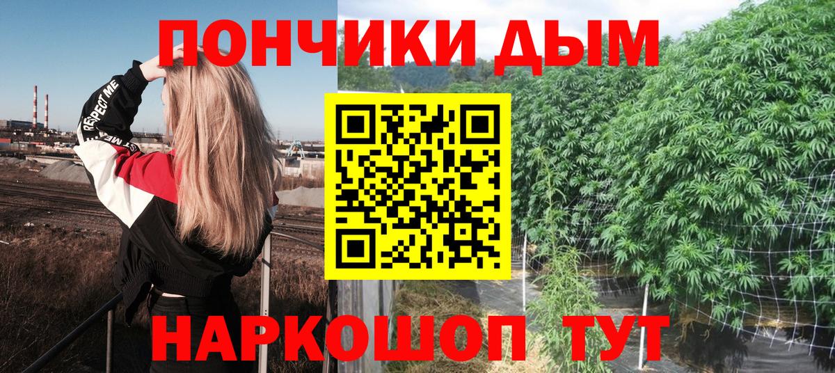 Марихуана сатива Минеральные Воды